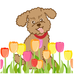 [LINEスタンプ] トイプーと花いっぱい春の日常の画像（メイン）