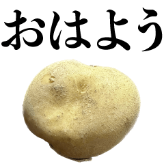 [LINEスタンプ] 毎日使えるじゃがいも【食べ物・デブ・芋】