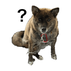 [LINEスタンプ] 黒い顔の犬