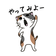 [LINEスタンプ] わりと前向きねこスタンプ