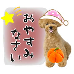 [LINEスタンプ] ペニ子☆スタンプ012l