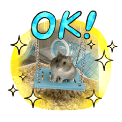 [LINEスタンプ] むぅー♡の日常