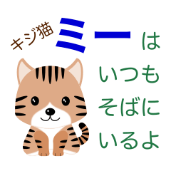 [LINEスタンプ] キジ猫ミーはいつもそばにいるよ