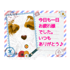 [LINEスタンプ] いつもお仕事有難う♪お疲れ様だけ(*^^*)♪