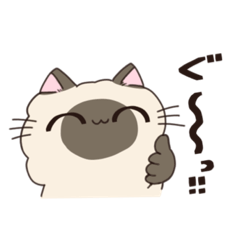 [LINEスタンプ] 毎日・春夏秋冬使える猫のスタンプ