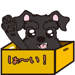 [LINEスタンプ] 黒シュナといっしょに