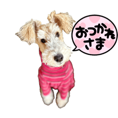 [LINEスタンプ] よもちゃんのハリキッテ〜いこか