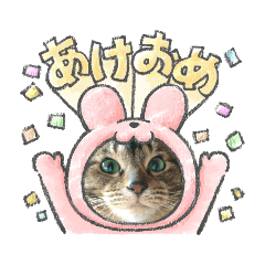 [LINEスタンプ] 北の国ニャンコオールスターズ・春夏秋冬篇