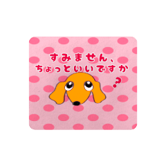 [LINEスタンプ] グーちゃんスタンピ