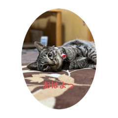 [LINEスタンプ] ラムニャン