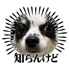 [LINEスタンプ] ウチの子がいちばん2
