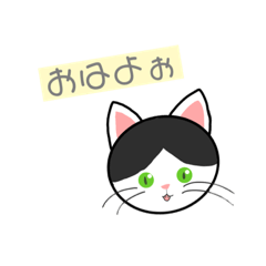 [LINEスタンプ] ハチワレ 白黒 ねこ(イラストver.)