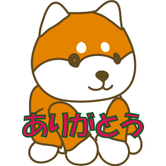 [LINEスタンプ] 柴犬 あいさつ 01