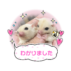 [LINEスタンプ] フクロモモンガのモモ☆かわいいフクモモ2