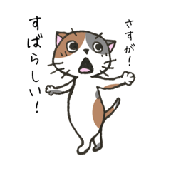 [LINEスタンプ] わりと前向きねこスタンプ2