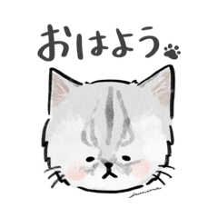 [LINEスタンプ] あかりさん家のミュウさん