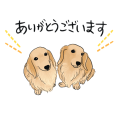 [LINEスタンプ] ダックスフンドのそらちゃんとふうちゃん