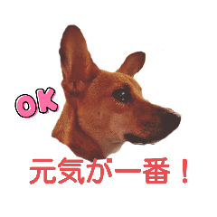 [LINEスタンプ] レーベンっ子のおしゃべり1