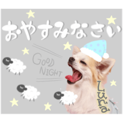 [LINEスタンプ] Shelly.Lunaさん