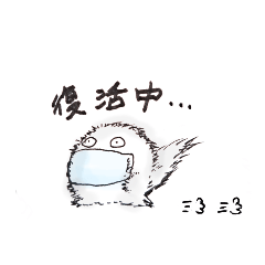 [LINEスタンプ] ボア(一応ヒマラヤンの雄猫)の丁寧な日常②