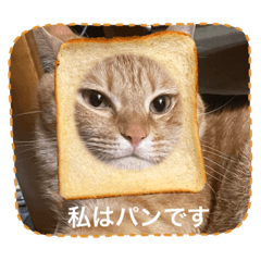 [LINEスタンプ] ラスちゃんのすたんぷ