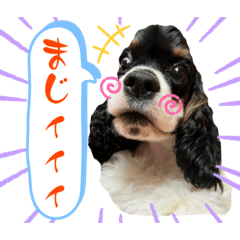 [LINEスタンプ] いろちゃん with てまりちゃんVol.3