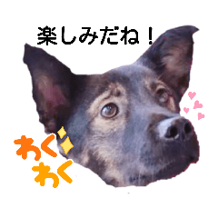 [LINEスタンプ] レーベンっ子のおしゃべり2