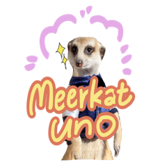 [LINEスタンプ] ミーアキャットunoちゃんです