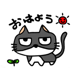 [LINEスタンプ] ハチワレ猫ぶーちゃん日常使い用①