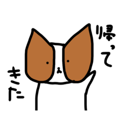 [LINEスタンプ] 帰ってきた！パピヨンちゃん集3(ネタ多め)