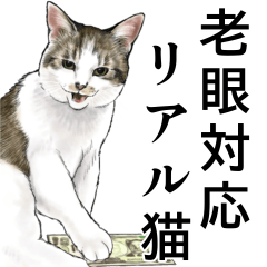 [LINEスタンプ] 老眼対応！使えるシンプルリアル猫スタンプ