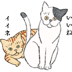 [LINEスタンプ] たのしいニャンズスタンプ Ver.2