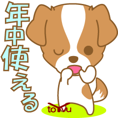 [LINEスタンプ] わんこ日和(ジャックラッセル)-toYvu-