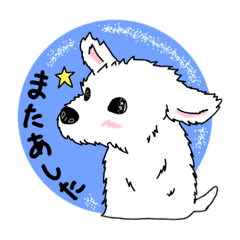 [LINEスタンプ] しろいいっぬ