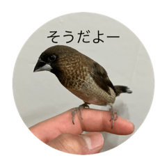 [LINEスタンプ] 自然なスタンプ1