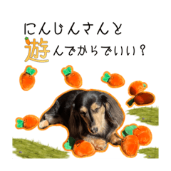 [LINEスタンプ] ラムちゃんのすたぁんぷ