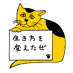 [LINEスタンプ] 猫型緊急メッセージ集