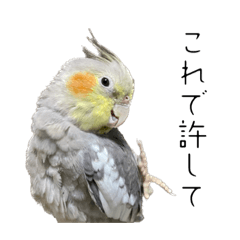[LINEスタンプ] うちのカワイイちびっこたちPart18