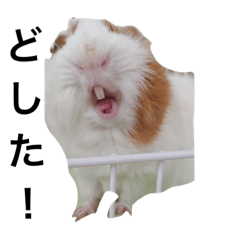 [LINEスタンプ] じろちょがいっぱい