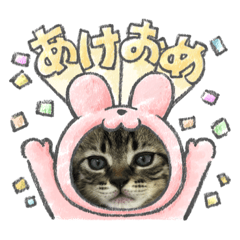 [LINEスタンプ] ハッピー＆ラッキースタンプ(=^ェ^=) ⑤