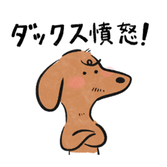 [LINEスタンプ] ダックス憤怒のこじまくん