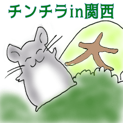 [LINEスタンプ] チンチラ in 関西の画像（メイン）