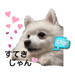 [LINEスタンプ] レーベンっ子のおしゃべり3