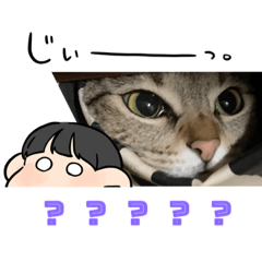 [LINEスタンプ] 猫の？