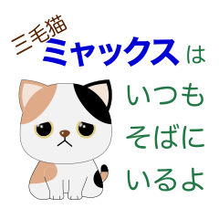 [LINEスタンプ] 三毛猫ミャックスはいつもそばにいるよ