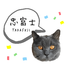 [LINEスタンプ] tadafujiさん