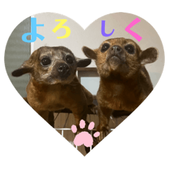 [LINEスタンプ] キンカジューの金太郎とかぐや姫