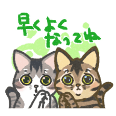 [LINEスタンプ] キジトラサバシロにゃんこスタンプ3