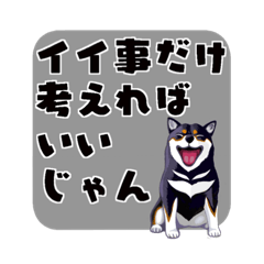 [LINEスタンプ] 僕たちの言葉だよ