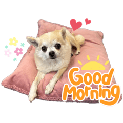 [LINEスタンプ] はなちゃんスタンプ♡第1弾